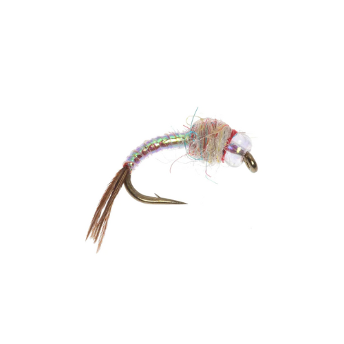 Rainbow Warrior bead head nymph
