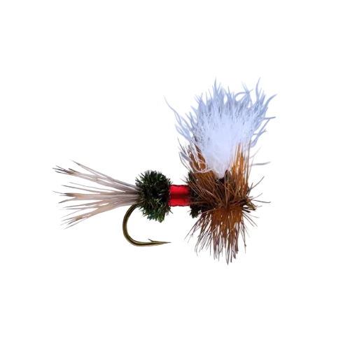 Royal Wulff attractor dry fly