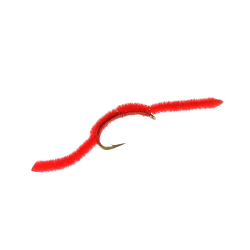 Red San Juan Worm fly for trout