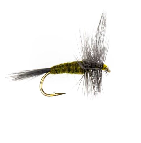 Blue Winged Olive dry fly for trout