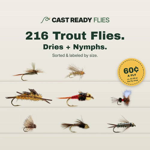 216 trout dry flies and nymphs, picked by a pro guide