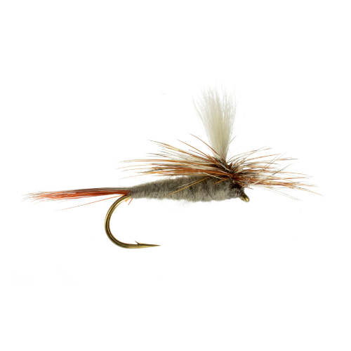 Parachute Adams dry fly for trout